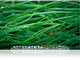 Fourteen views of Mac OS X Leopard