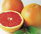 Grapefruit 'Jaffa Sunrise'