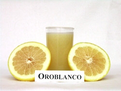 Citrus paradisi 'Oroblanco'