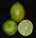 Citrus latifolia, 'Bearss' lime