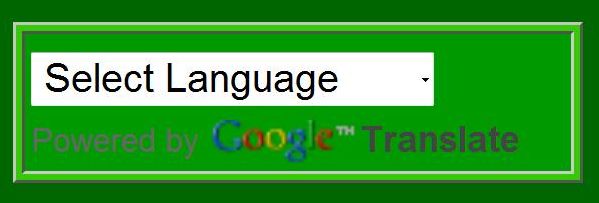 Google Translate Tool
