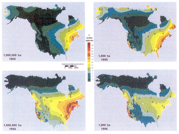 Figure 4-4 Maps illustrating the estimated proportion of the flora consisting of exotic species for areas of 1,000 and 1,000,000 ha in 1900 and 1996