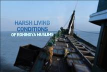 Harsh Living Conditions of Rohingya Muslims