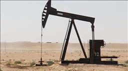Nigerian banks pressured by low oil price