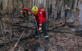 Greenpeace volunteers put out a fire in Karelia
